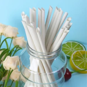 6mm Disposable Drinking Straw Bamboo Fiber Straws