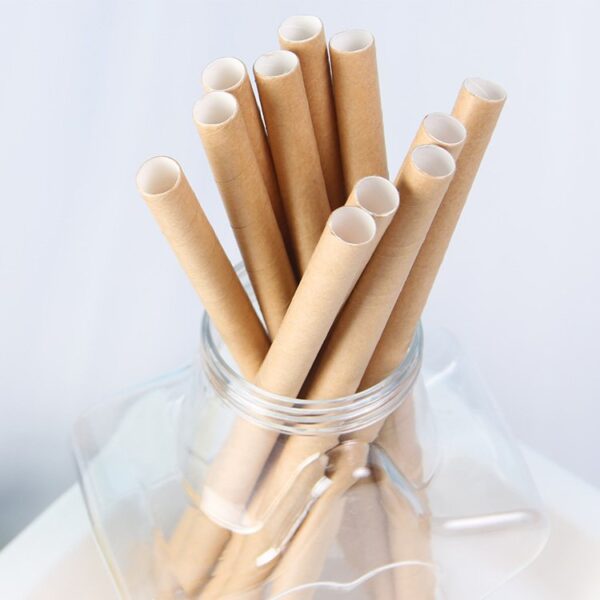 Disposable Paper Drinking Straws  Customize